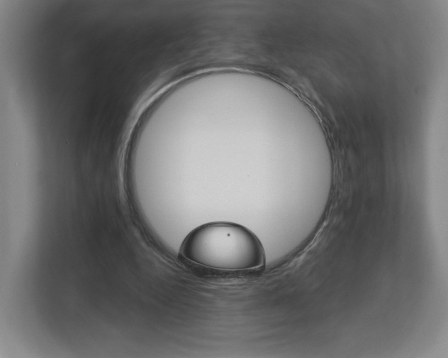 X0000113180344200909040959