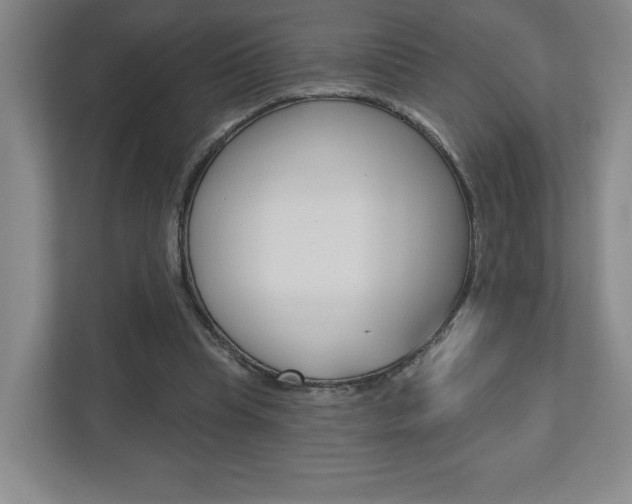 X0000113180345200909040959