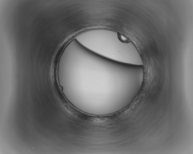 X0000113180346200909040959
