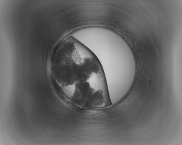 X0000113180347200909040959