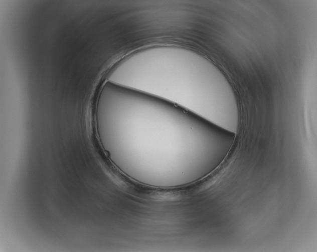 X0000113180349200909040959
