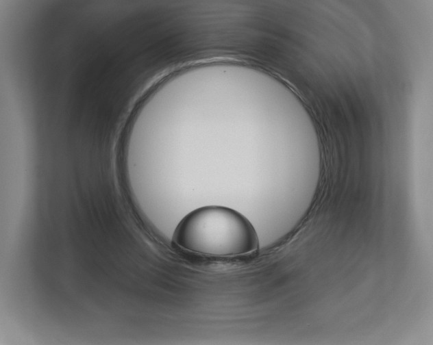 X0000113180350200909040959