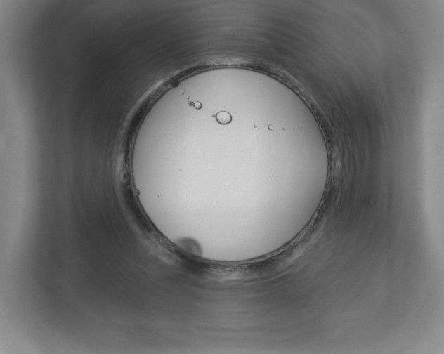 X0000113180351200909040959