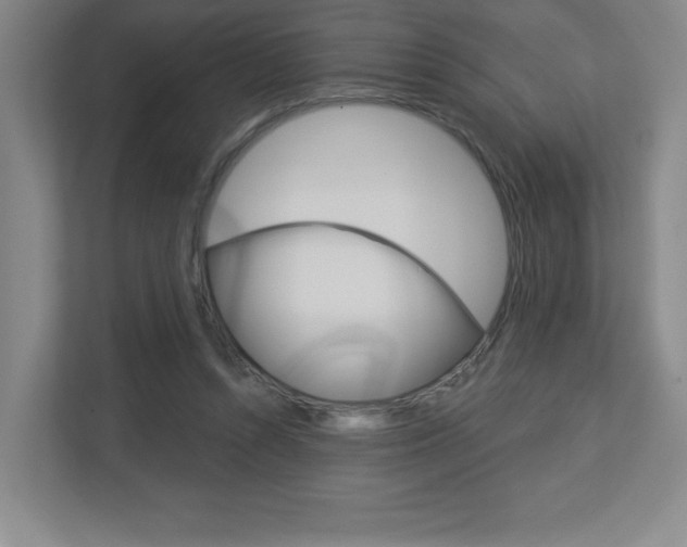 X0000113180352200909040959