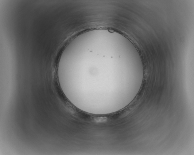 X0000113180355200909040959