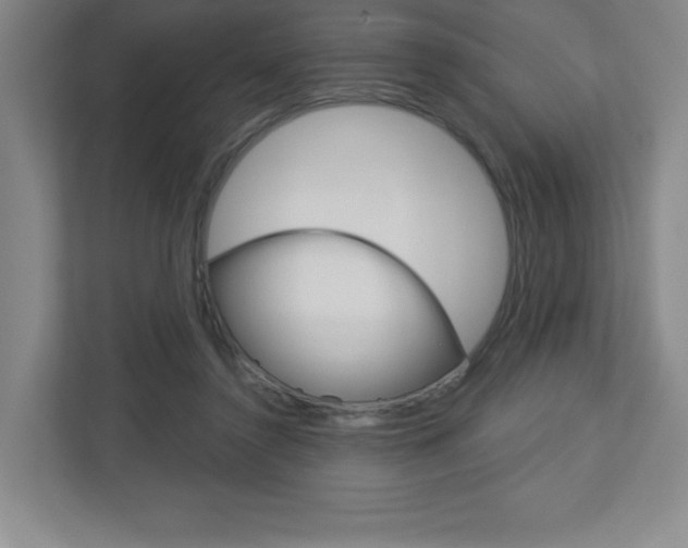 X0000113180356200909040959
