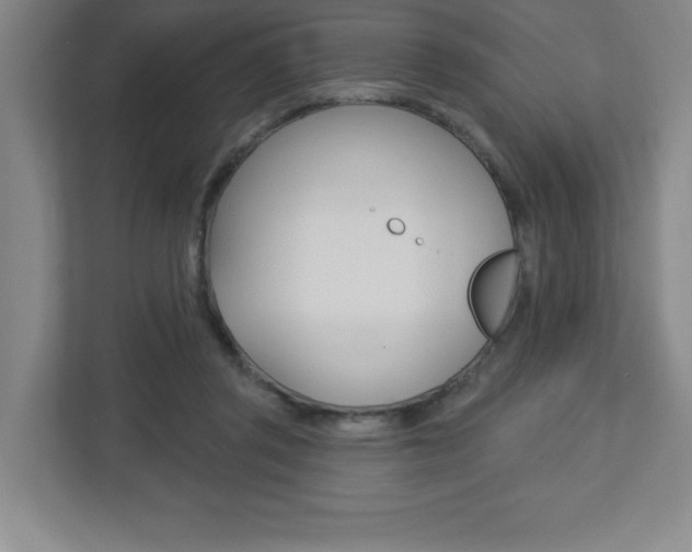 X0000113180357200909040959