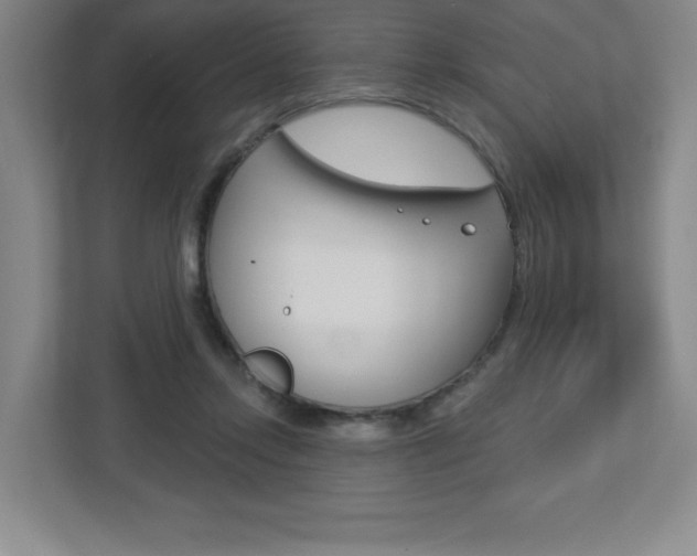 X0000113180358200909040959
