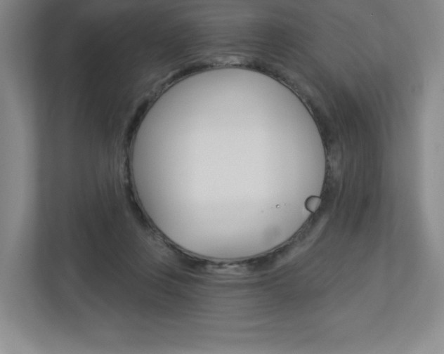 X0000113180359200909040959