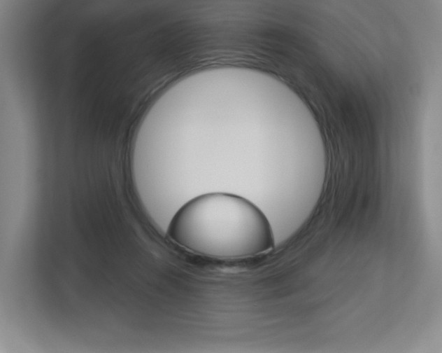 X0000113180360200909040959