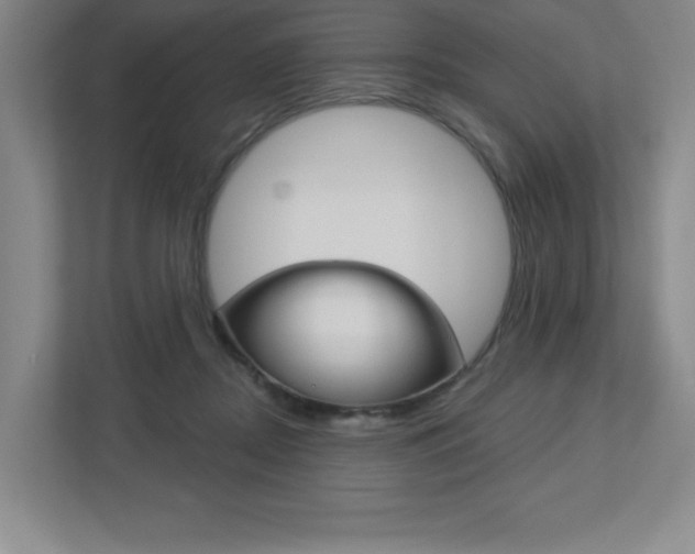 X0000113180362200909040959