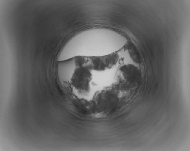 X0000113180365200909040959