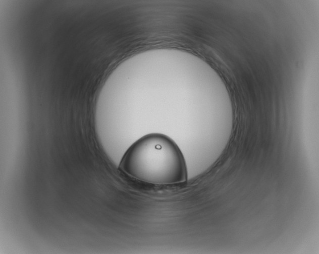 X0000113180368200909040959