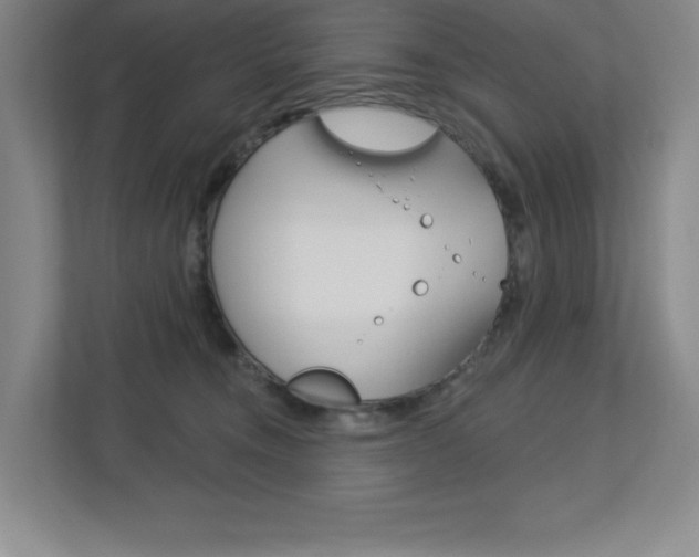 X0000113180372200909040959