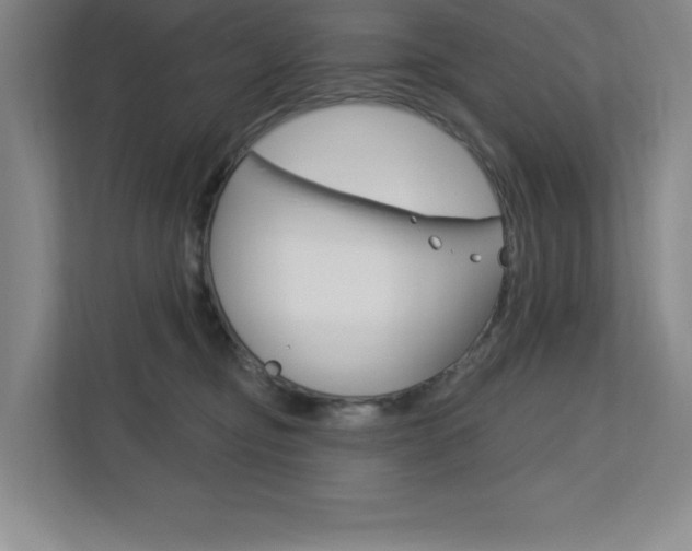 X0000113180374200909040959