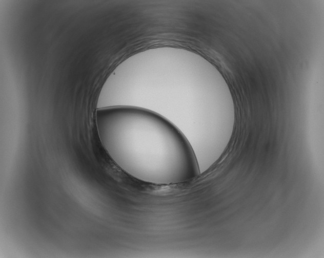 X0000113180382200909040959