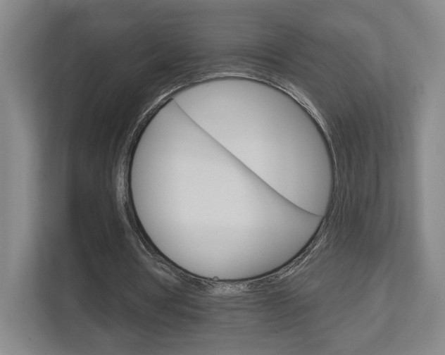 X0000113180386200909040958