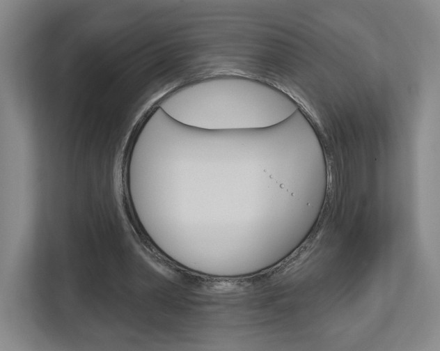 X0000113180390200909040958