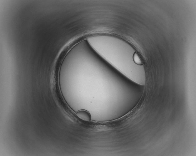 X0000113180392200909040958