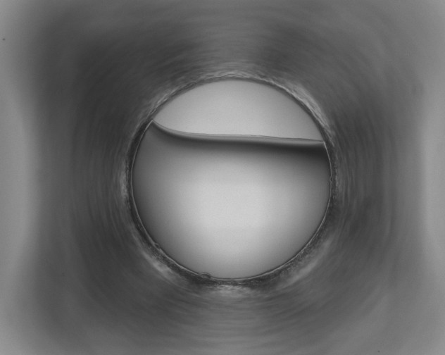 X0000113180393200909040958