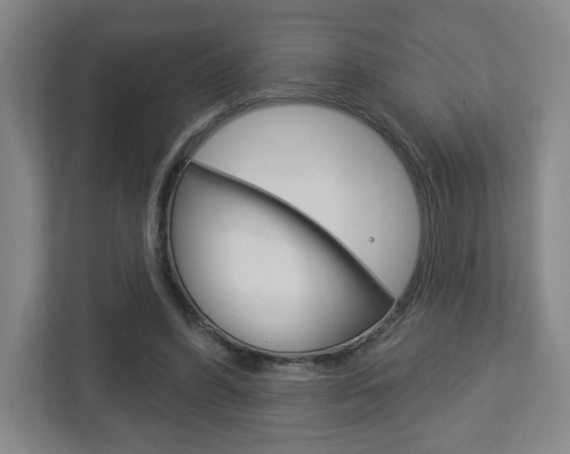 X0000113180396200909040958