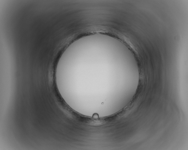 X0000113180402200909040958