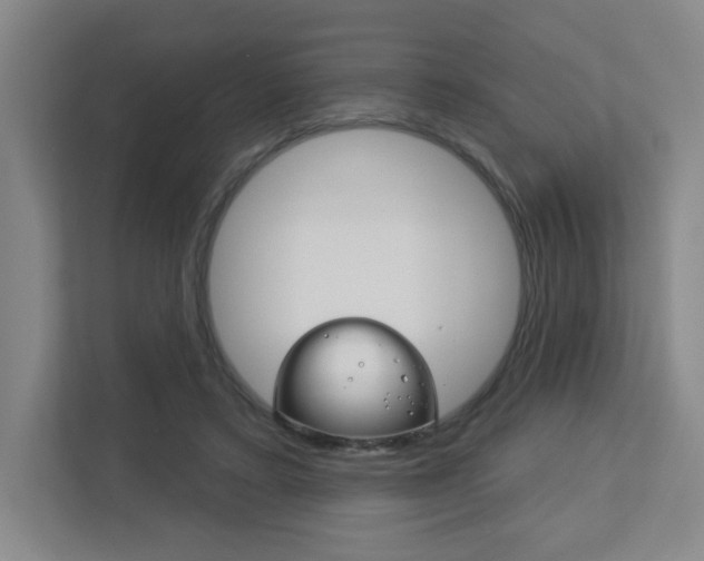 X0000113180403200909040958