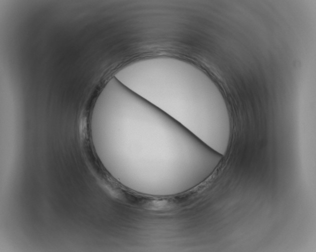 X0000113180406200909040958