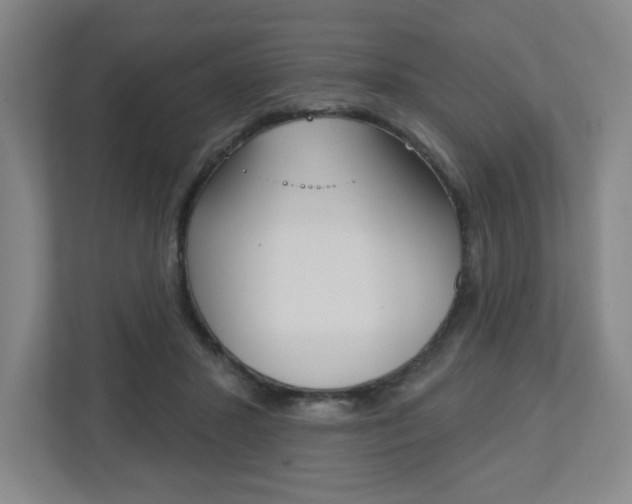 X0000113180407200909040958