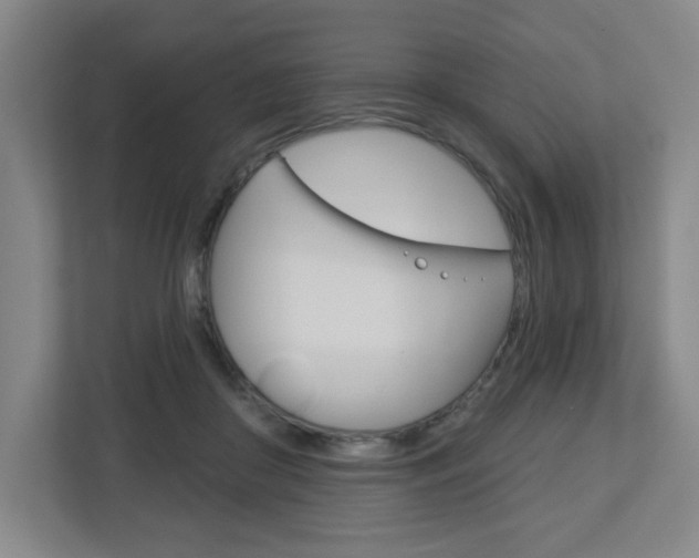 X0000113180410200909040958