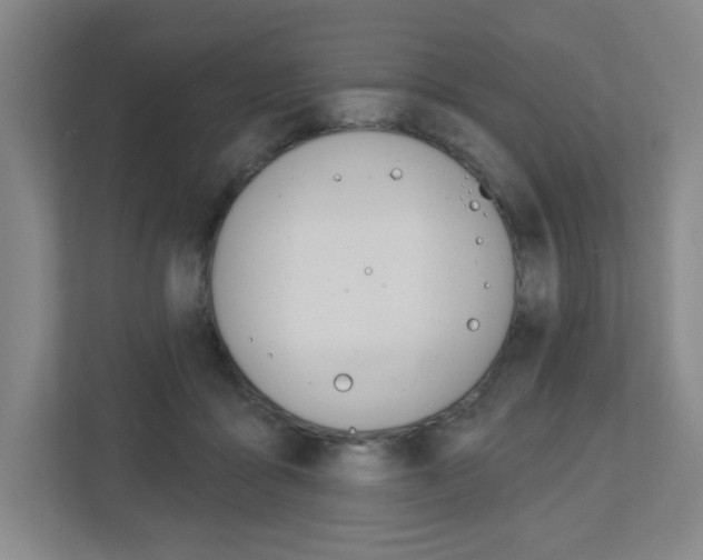 X0000113180411200909040958