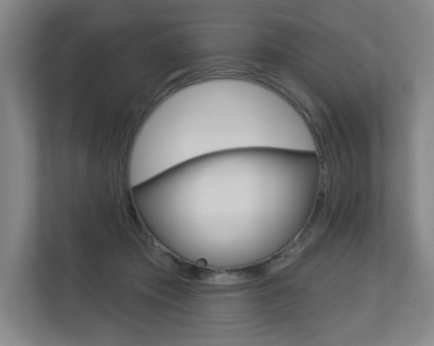 X0000113180413200909040958