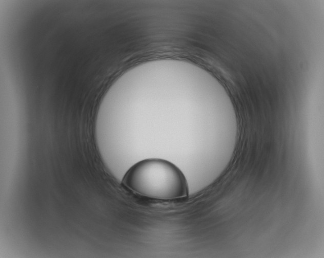 X0000113180417200909040958