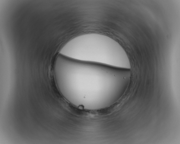 X0000113180420200909040958