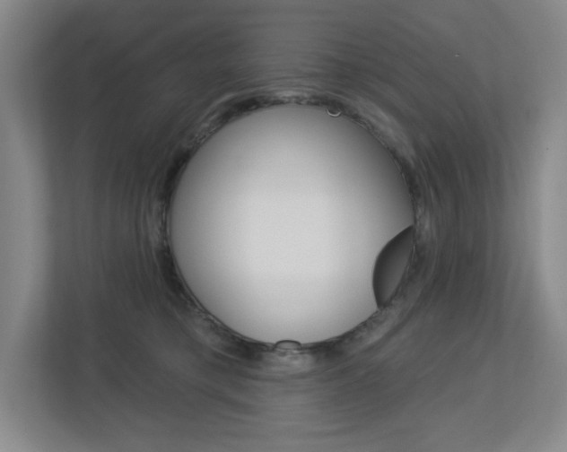 X0000113180421200909040958