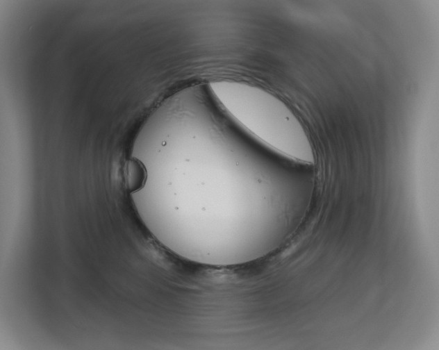 X0000113180424200909040958