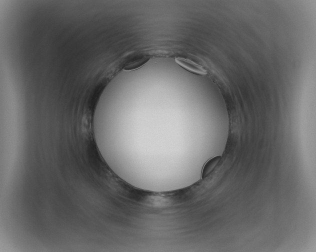X0000113180425200909040958