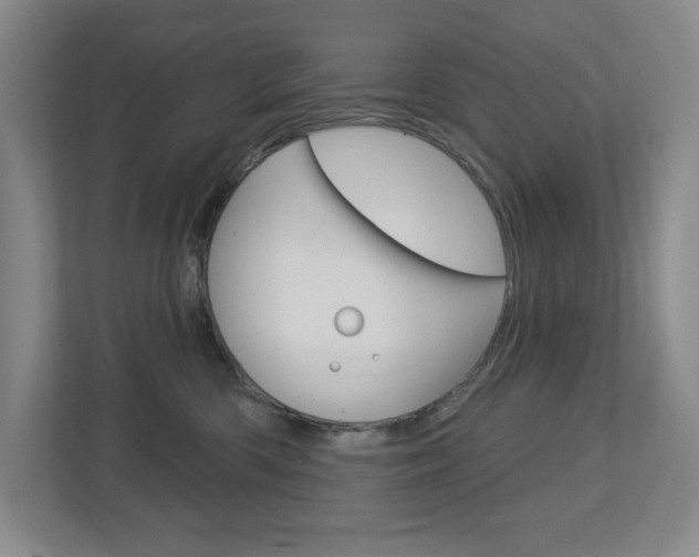 X0000113180426200909040958