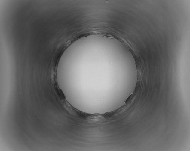 X0000113180427200909040958