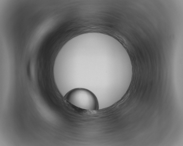X0000113180429200909040958