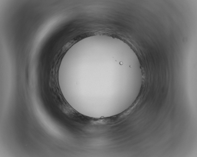 X0000113180430200909040958