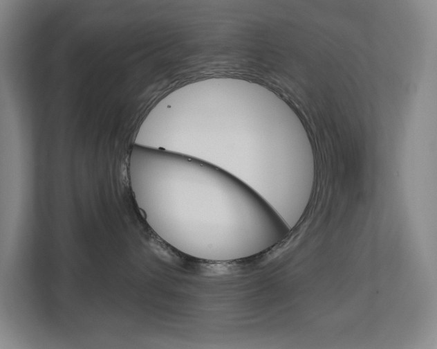X0000113180432200909040958