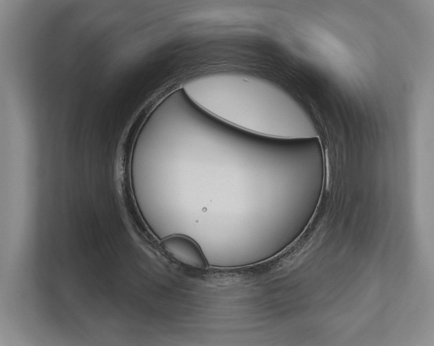 X0000113180435200909040957