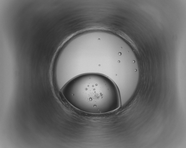 X0000113180436200909040957