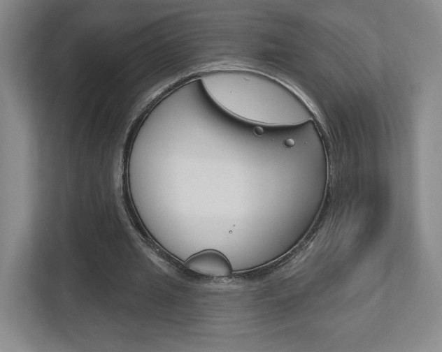 X0000113180437200909040957
