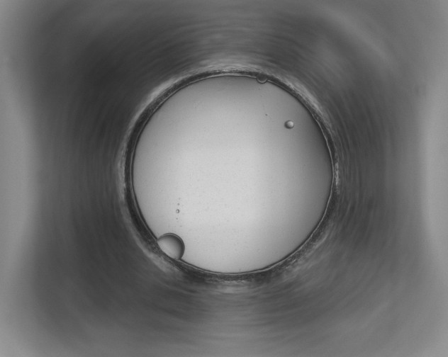 X0000113180438200909040957