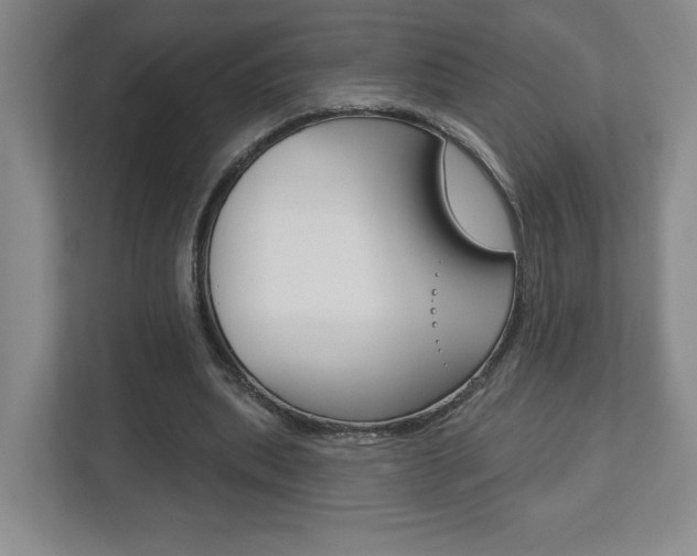 X0000113180439200909040957