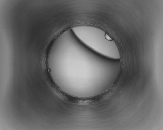 X0000113180450200909040957