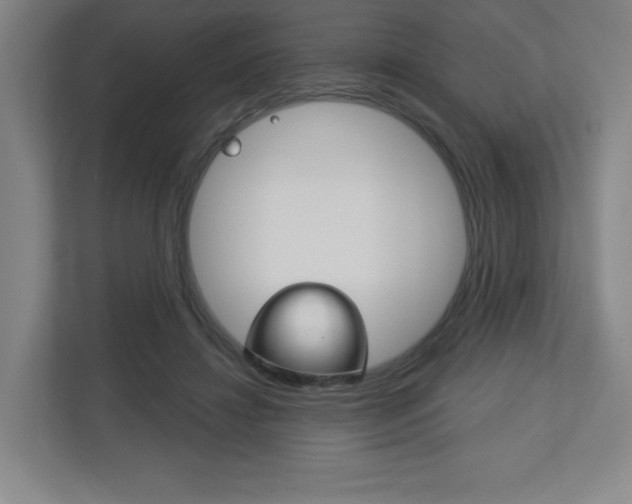 X0000113180452200909040957