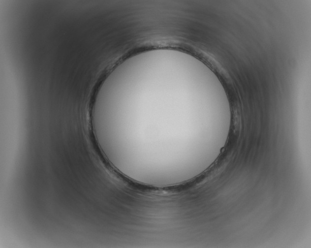 X0000113180453200909040957